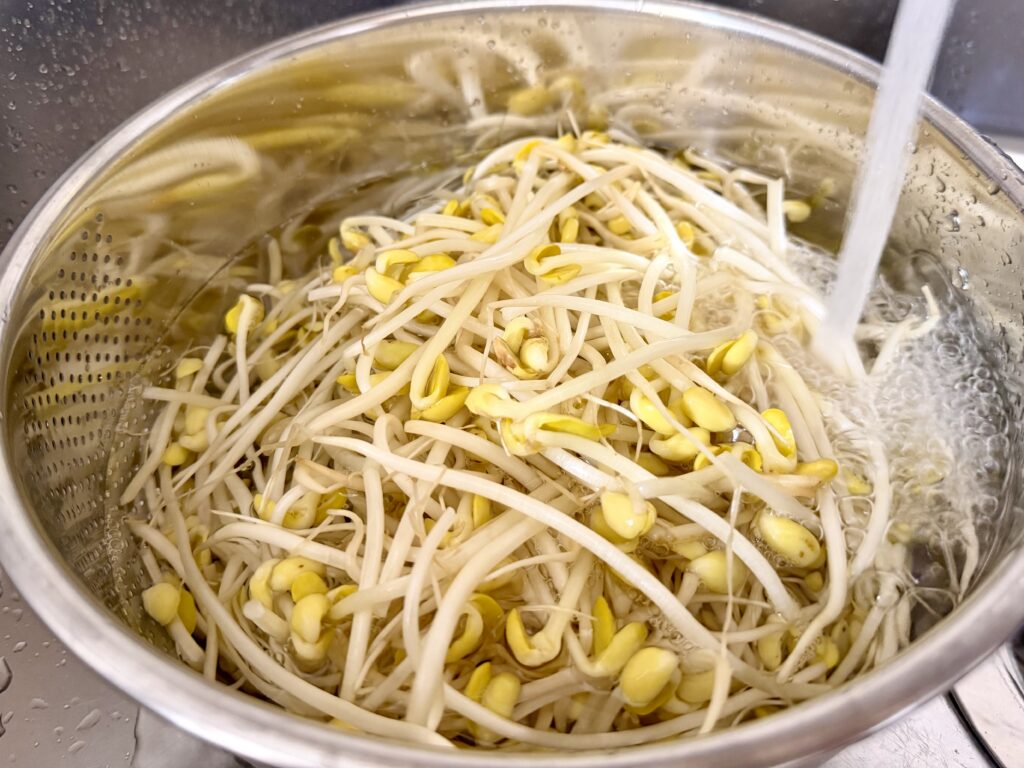 전복 해물찜용 찜 콩나물 세척